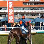 bet races